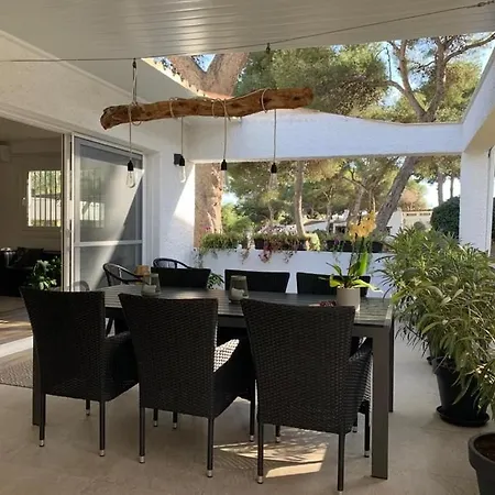 With Large Terrace In A Quiet Park - Nearby *